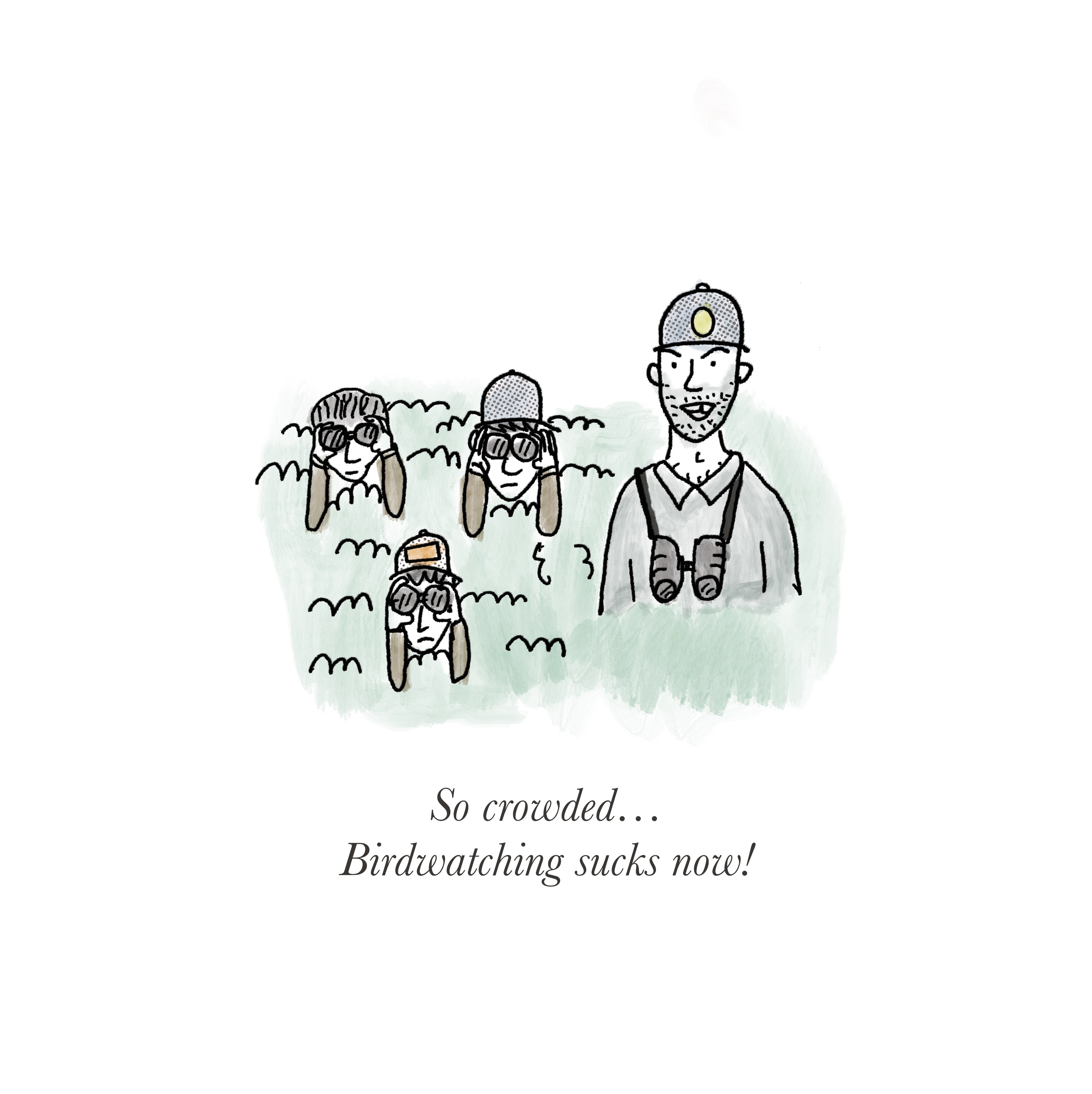 Birdwatching Sucks Now